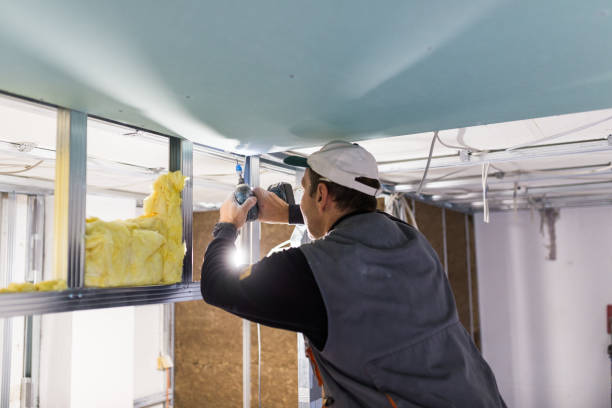 Best Eco-Friendly Insulation in Elk Ridge, UT