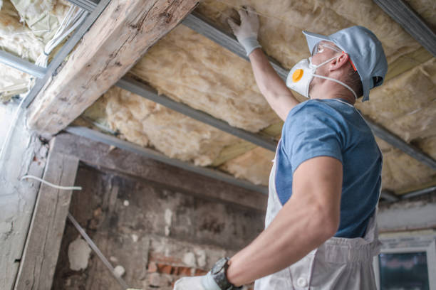 Best Blown-in Insulation in Elk Ridge, UT